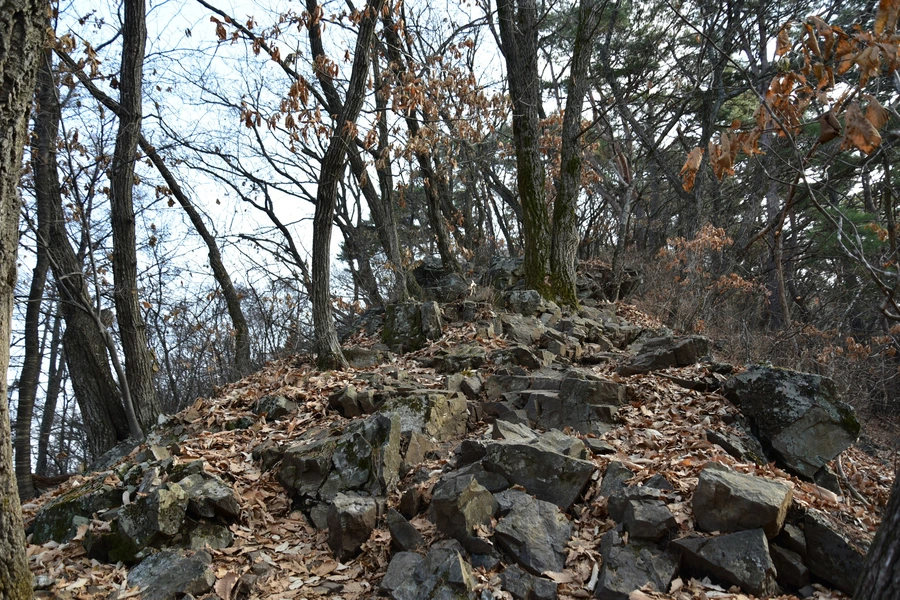 SE-5552aa2a-1872-4739-a139-79185125ec19.jpg?type=w1