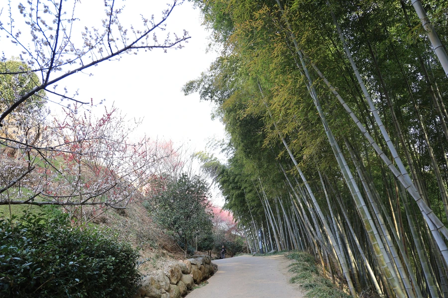 SE-81af95da-0ecf-4188-874d-38d73c0ae94b.jpg?type=w1