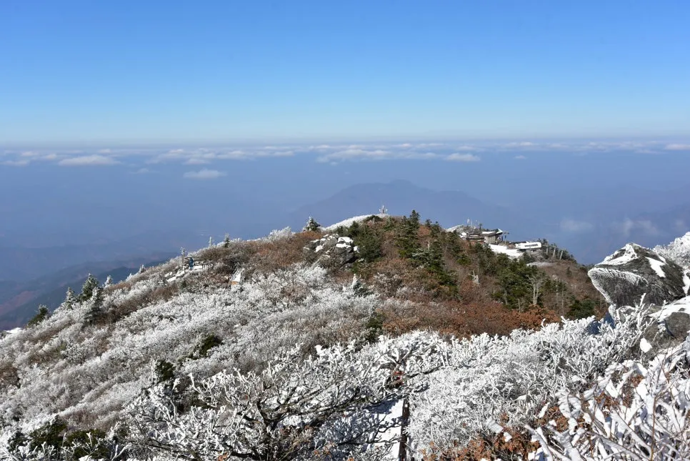 11%EC%9B%9426%EC%9D%BC_(193).JPG?type=w966