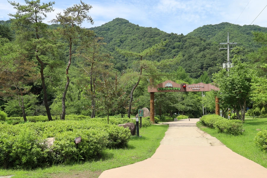 SE-7c745e22-c1b6-4d52-94f0-92573d8a7f18.jpg?type=w1