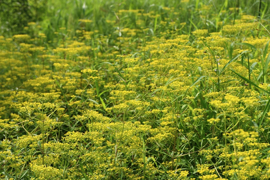 SE-312b0bfc-3ccc-40c7-ab6b-09bb2cd135e3.jpg?type=w1