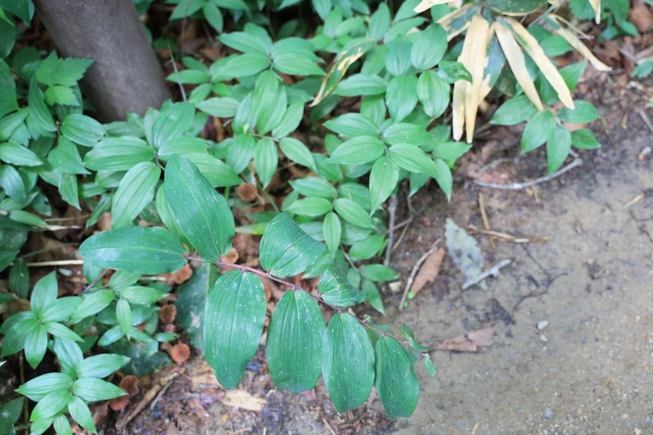 6%EC%9B%9428%EC%9D%BC_(119).JPG?type=w1