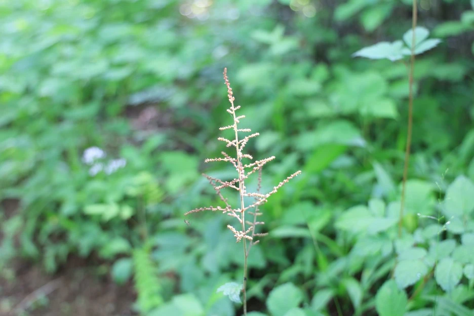 6%EC%9B%9414%EC%9D%BC_(108).JPG?type=w1