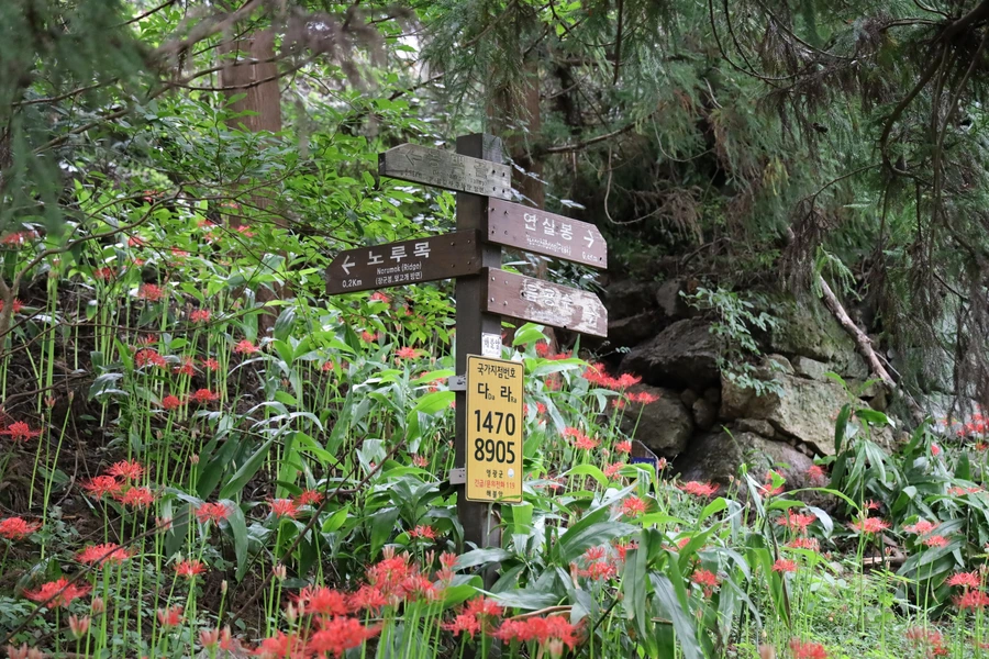 SE-781cc407-5e4e-4aa3-9e3c-2a52eabf0e27.jpg?type=w1