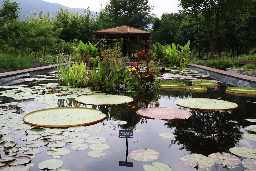 SE-b3f718b7-6355-47bf-a033-6a5c9b5d3f41.jpg?type=w1