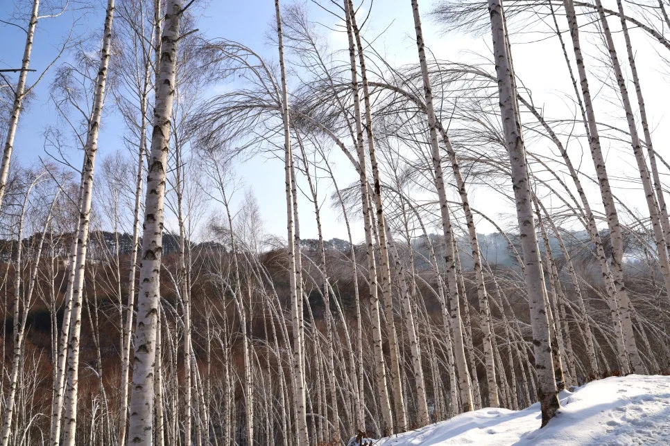 12%EC%9B%9426%EC%9D%BC_(32).JPG?type=w966