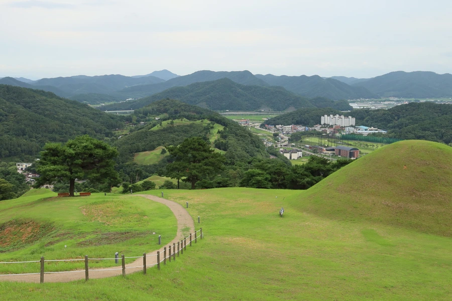 SE-8d055aa4-1416-429d-a724-99d0683299f3.jpg?type=w1