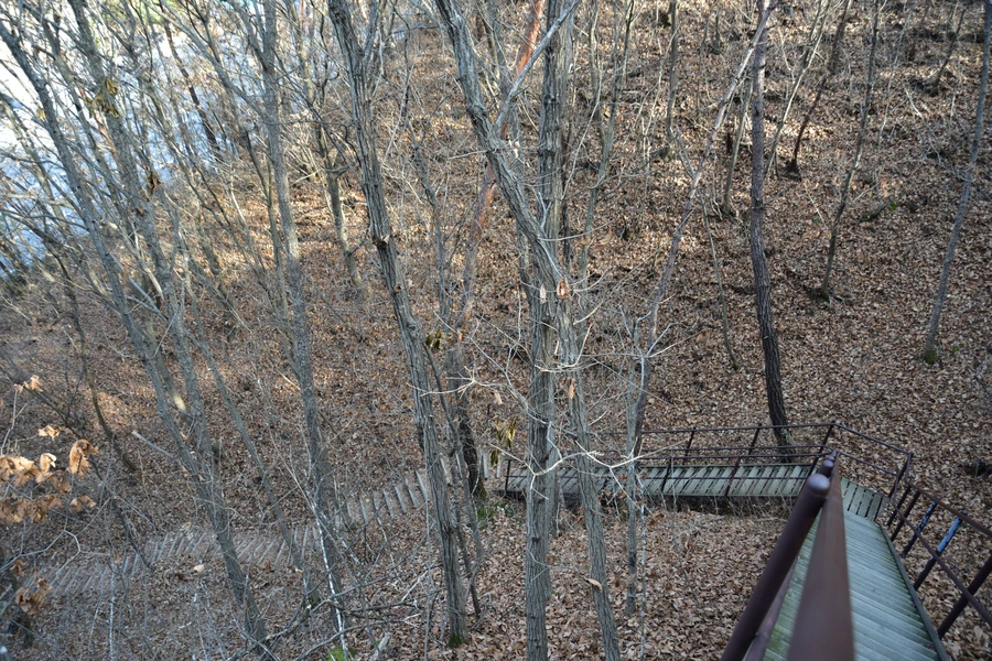 SE-656fd903-e8cc-4fd4-8b90-313865e1e966.jpg?type=w1