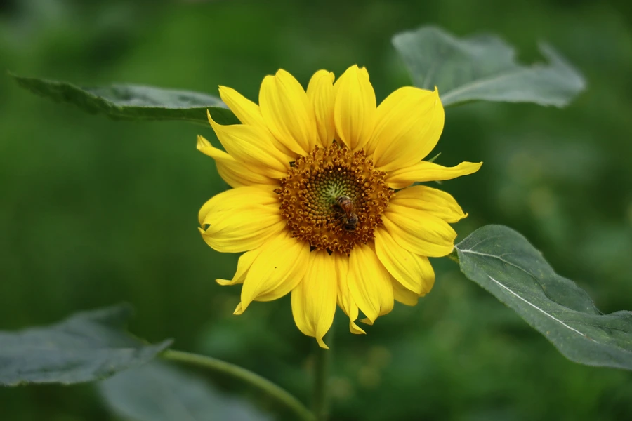 SE-7ab92305-408c-4300-bf5e-5537f5311a5f.jpg?type=w1