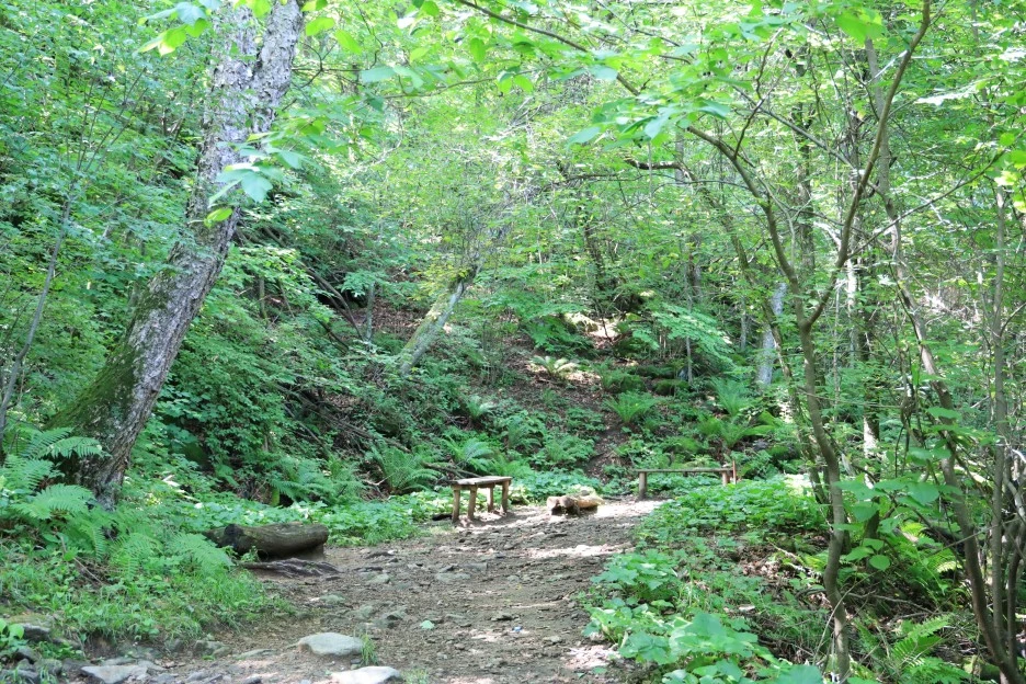 6%EC%9B%9428%EC%9D%BC_(84).JPG?type=w1