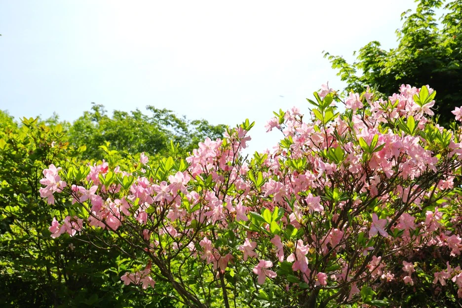 5%EC%9B%9410%EC%9D%BC_(41).JPG?type=w1