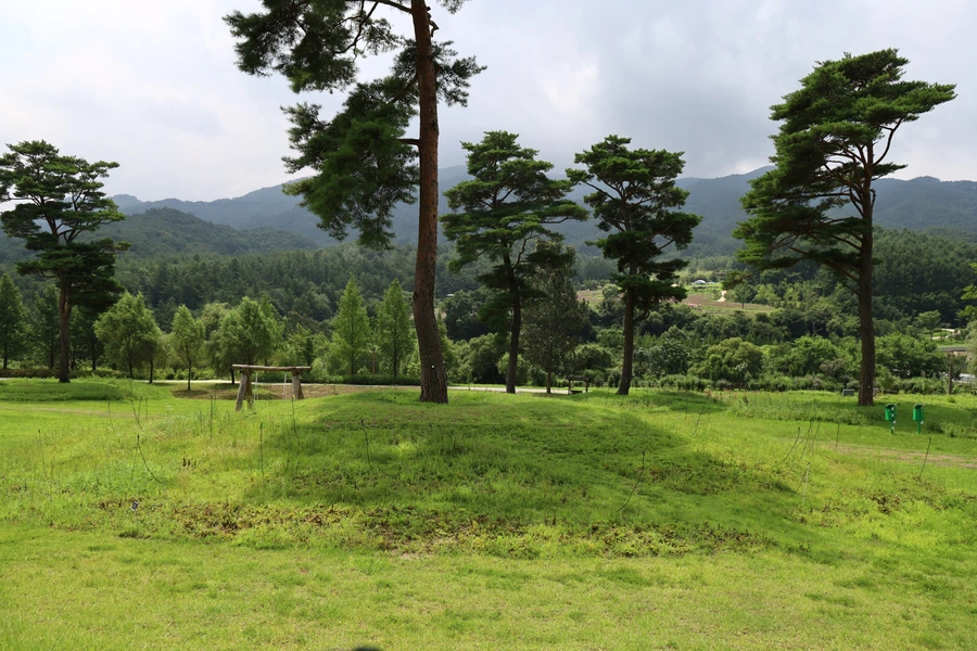 SE-5448c966-2dc8-422e-9371-b2fef8893cda.jpg?type=w1