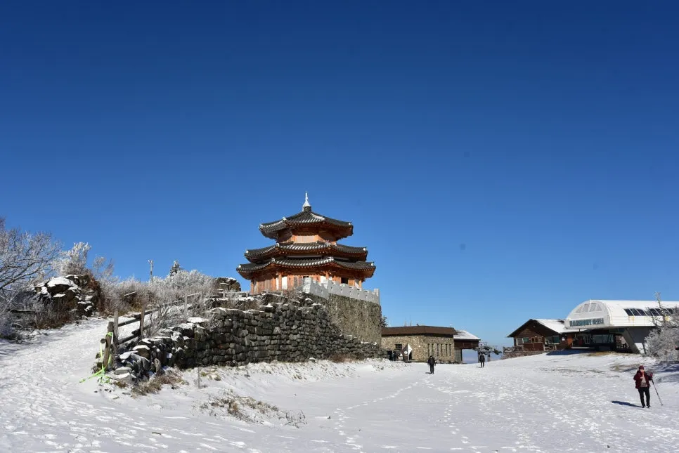 11%EC%9B%9426%EC%9D%BC_(36).JPG?type=w966