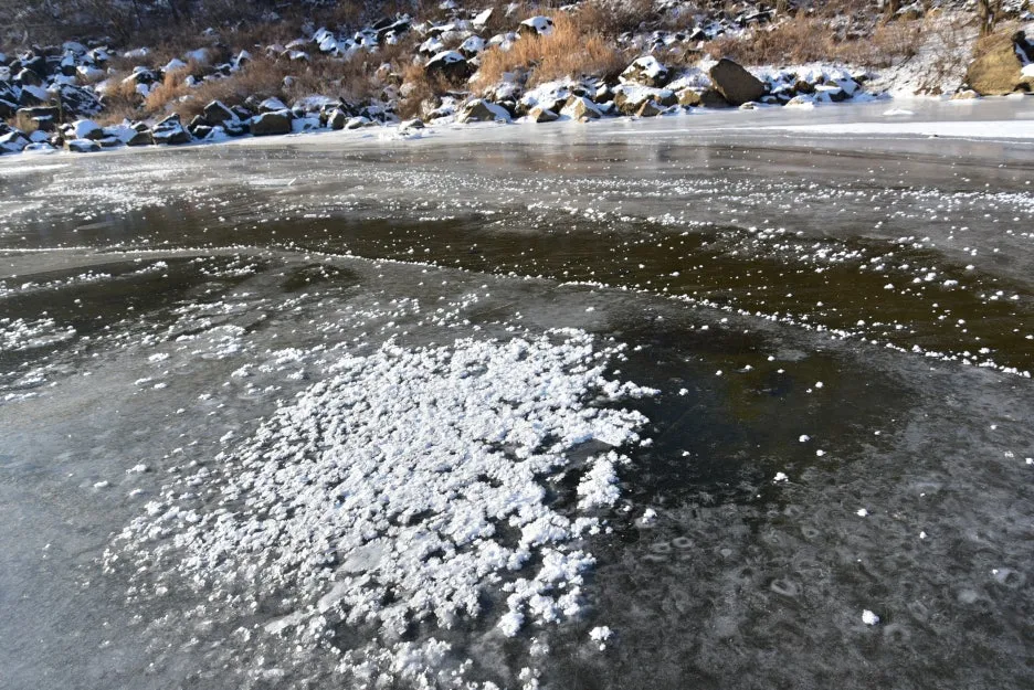 1%EC%9B%9412%EC%9D%BC_(16).JPG?type=w1