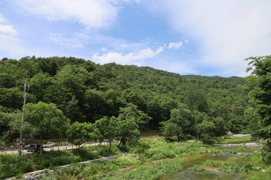 SE-bf65f963-d149-4d13-b681-c12c6e5917b2.jpg?type=w1