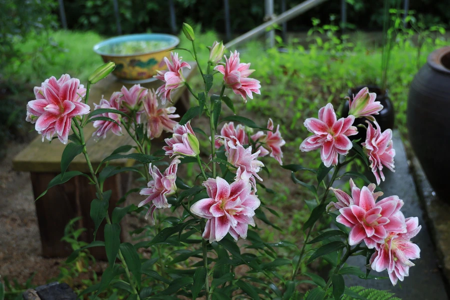 SE-5a43b95b-9e36-427f-9988-04872a57815d.jpg?type=w1