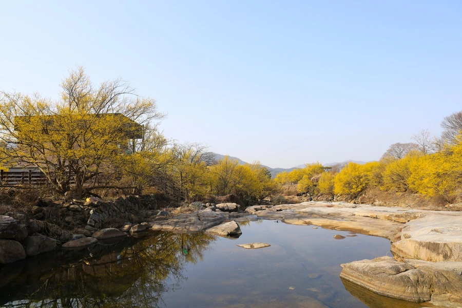 SE-684c3fcd-695a-42c9-9ab1-ddec5e0466f5.jpg?type=w1