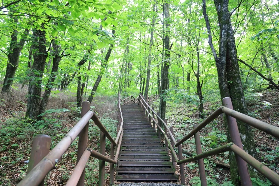 6%EC%9B%9428%EC%9D%BC_(91).JPG?type=w1