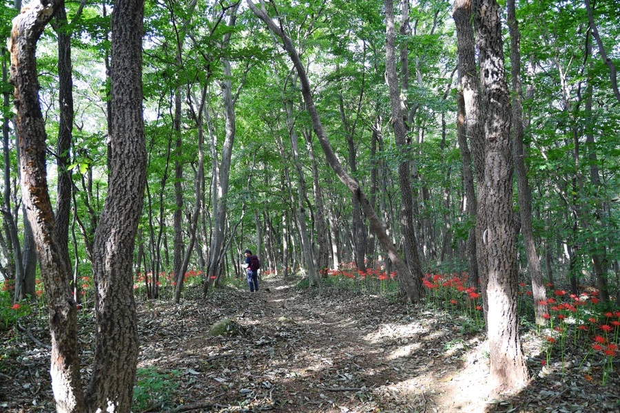 SE-8a3d361e-cae3-4894-b09c-e242102beb5b.jpg?type=w1