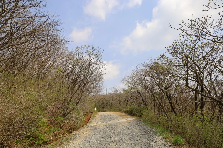 4%EC%9B%9428%EC%9D%BC_(168).JPG?type=w1