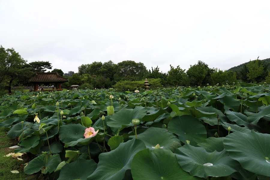 SE-99ba6026-a1c4-4981-a59b-12f78a3a697f.jpg?type=w1