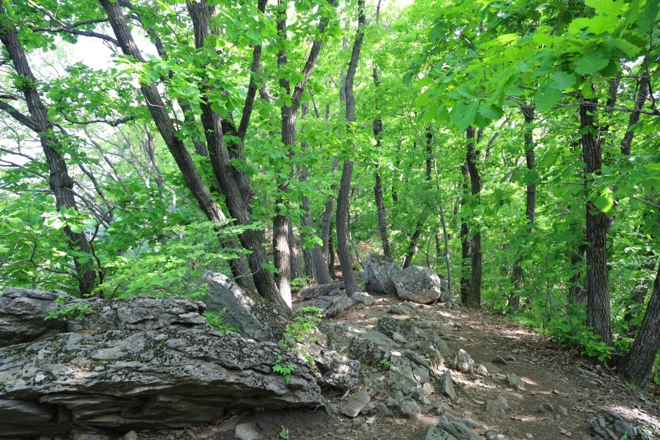 5%EC%9B%9410%EC%9D%BC_(22).JPG?type=w1