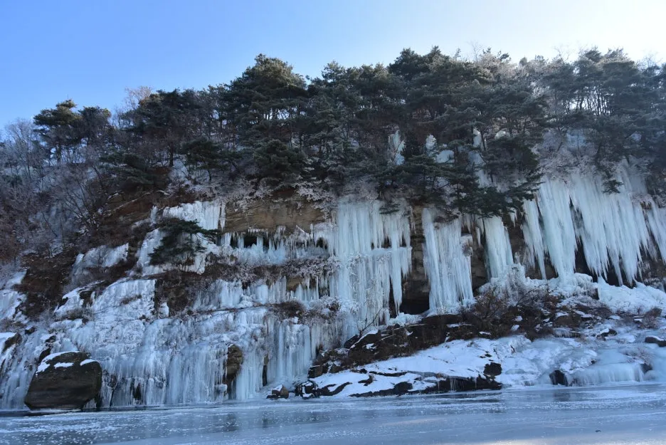 1%EC%9B%9412%EC%9D%BC_(87).JPG?type=w1