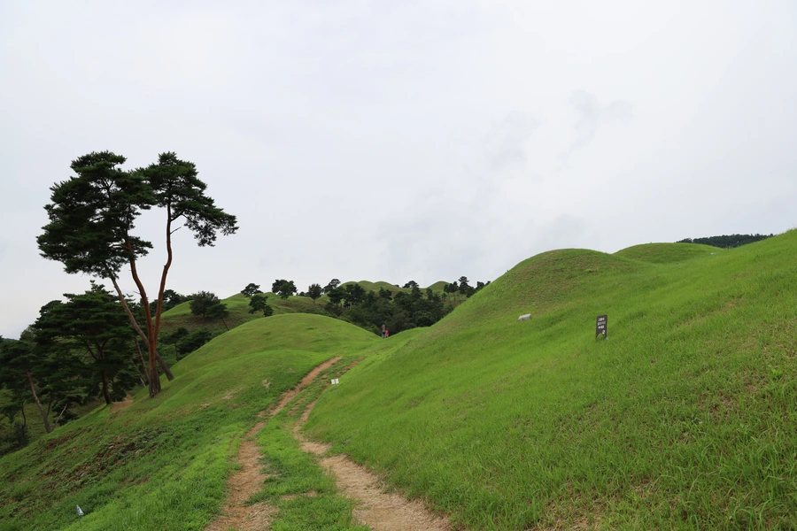 SE-6258d27e-5375-4455-962b-f5d5d3c5f8a2.jpg?type=w1