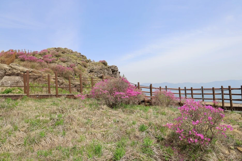 4%EC%9B%9428%EC%9D%BC_(83).JPG?type=w1