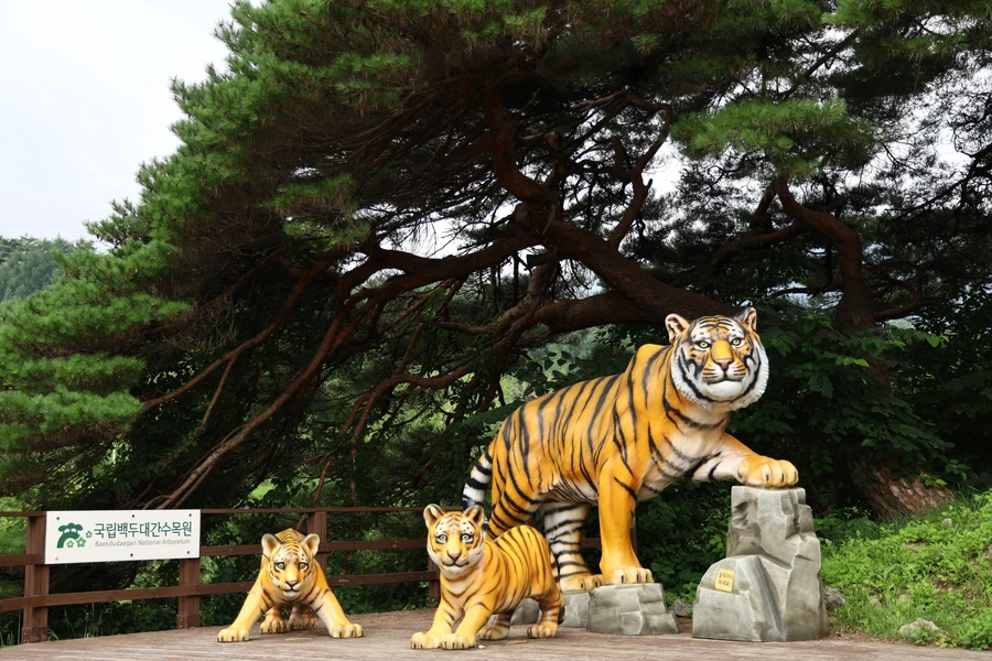 SE-ed82beec-8215-4b04-9bd8-7991074e3990.jpg?type=w1