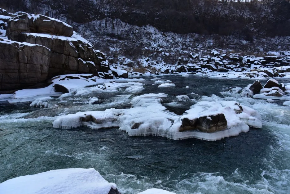 1%EC%9B%9412%EC%9D%BC_(157).JPG?type=w1