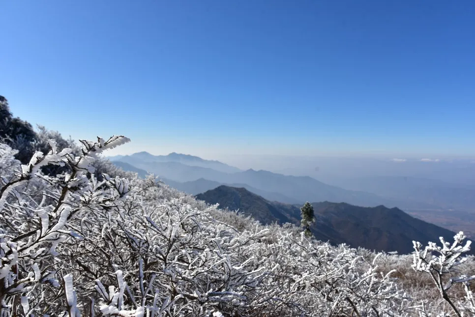 11%EC%9B%9426%EC%9D%BC_(202).JPG?type=w966