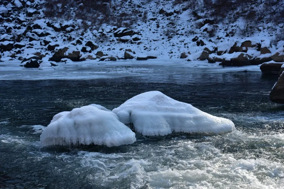 1%EC%9B%9412%EC%9D%BC_(143).JPG?type=w1