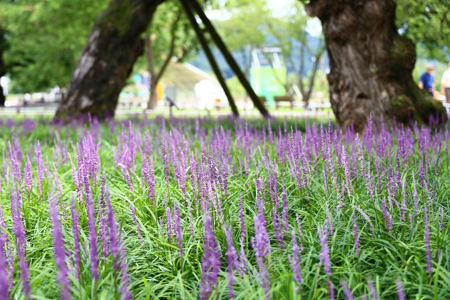 SE-e399e967-8d2b-4902-b2c2-f8c6ca0f10b5.jpg?type=w1