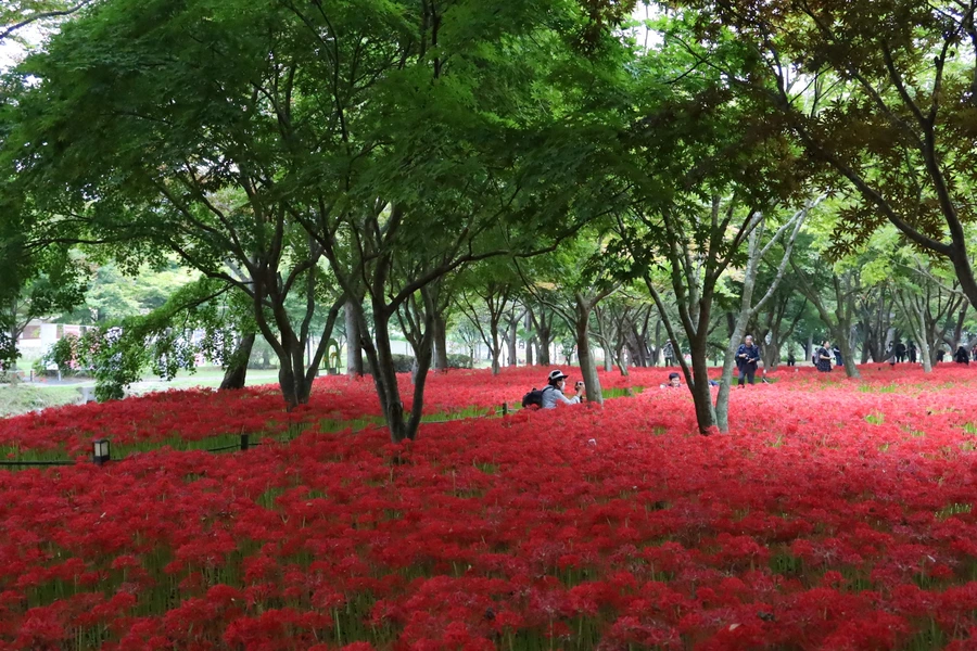 SE-4d21d48e-753a-48a7-ba43-f9eed17bc127.jpg?type=w1