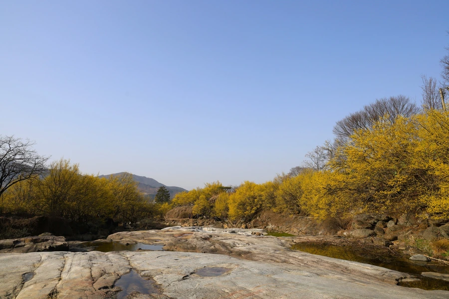 SE-a7255591-494c-49cc-b2df-a883d985e35a.jpg?type=w1