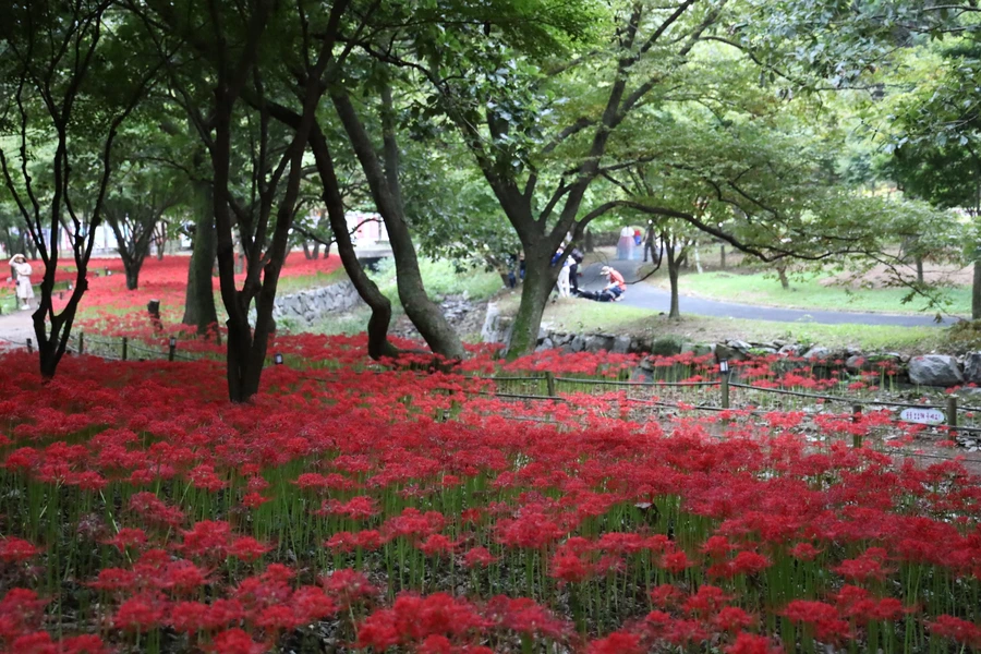 SE-4abd82ad-47dc-46bf-bae0-b56933d90a42.jpg?type=w1