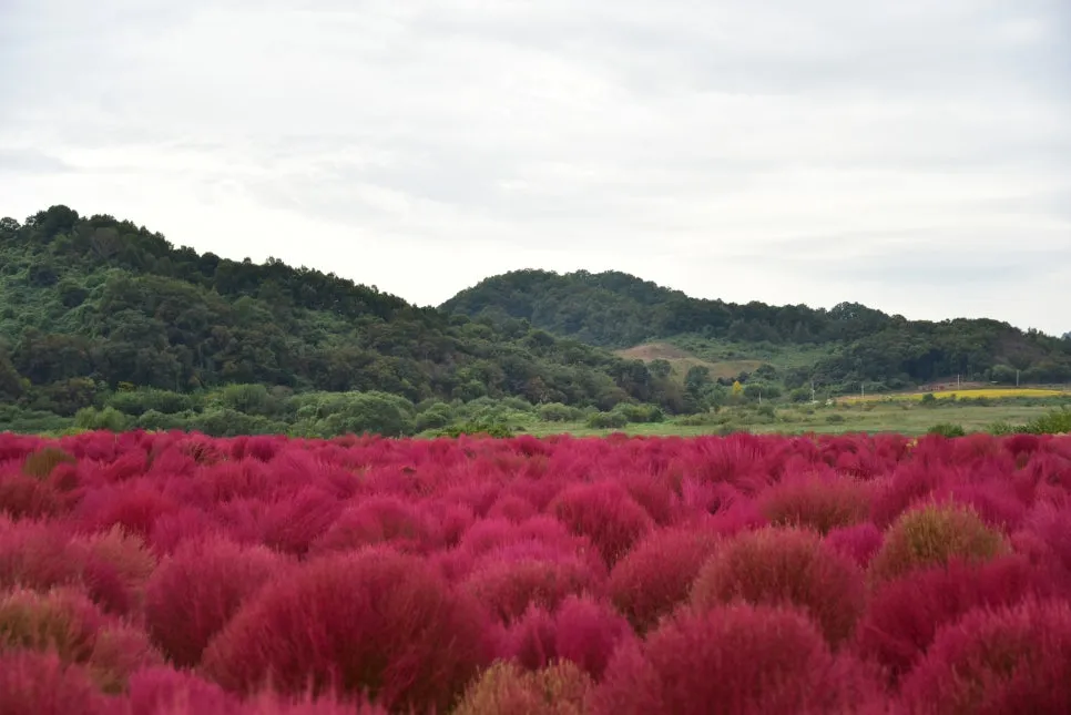 10%EC%9B%9414%EC%9D%BC_(50).JPG?type=w966