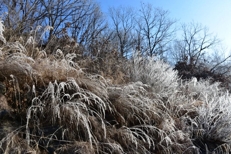 1%EC%9B%9412%EC%9D%BC_(28).JPG?type=w1