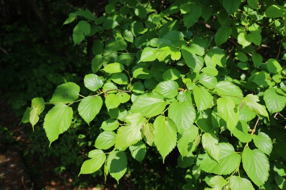 5%EC%9B%9410%EC%9D%BC_(194).JPG?type=w1