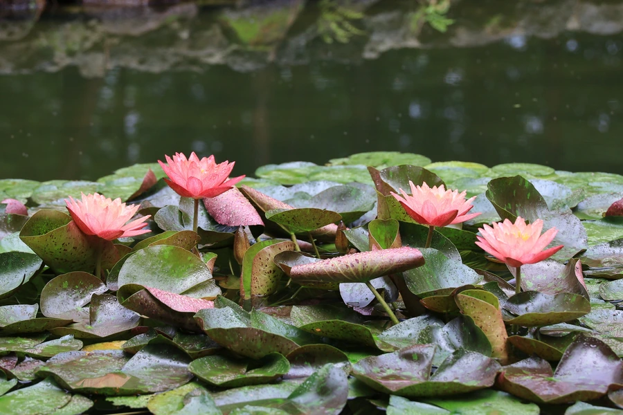 SE-32daf36a-f9bf-4382-816b-f62bdca3df68.jpg?type=w1