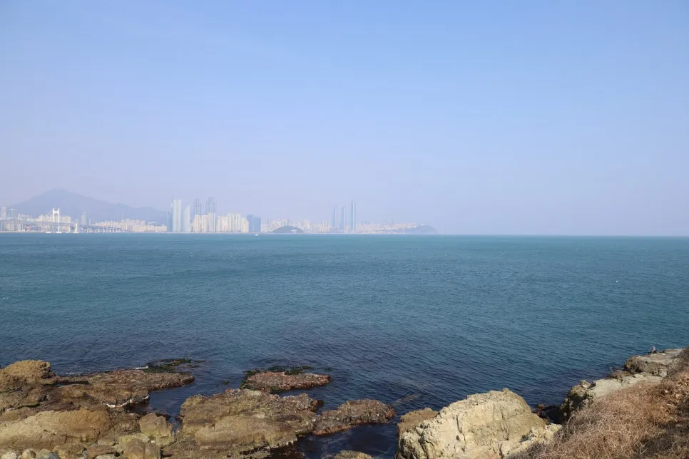 2%EC%9B%9426%EC%9D%BC_(101).JPG?type=w966