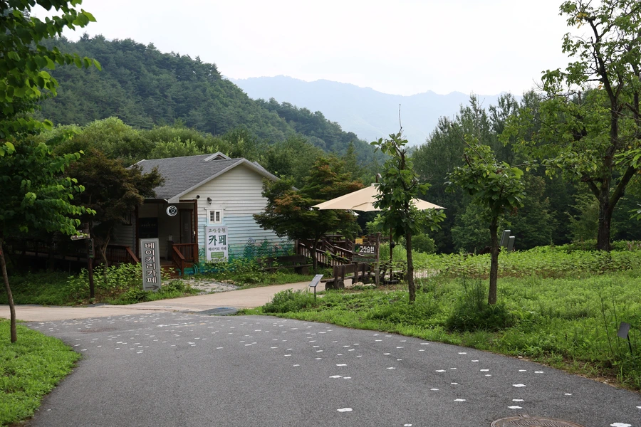 SE-ed604361-b8c4-472e-95ab-7865ce73c26b.jpg?type=w1