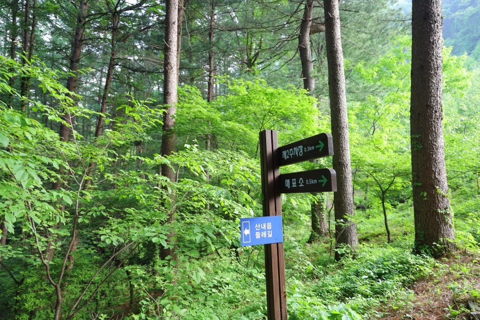 5%EC%9B%9410%EC%9D%BC_(13).JPG?type=w1