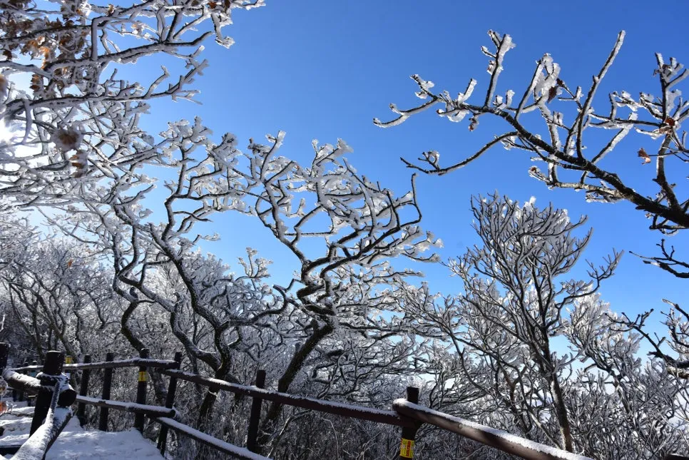 11%EC%9B%9426%EC%9D%BC_(81).JPG?type=w966