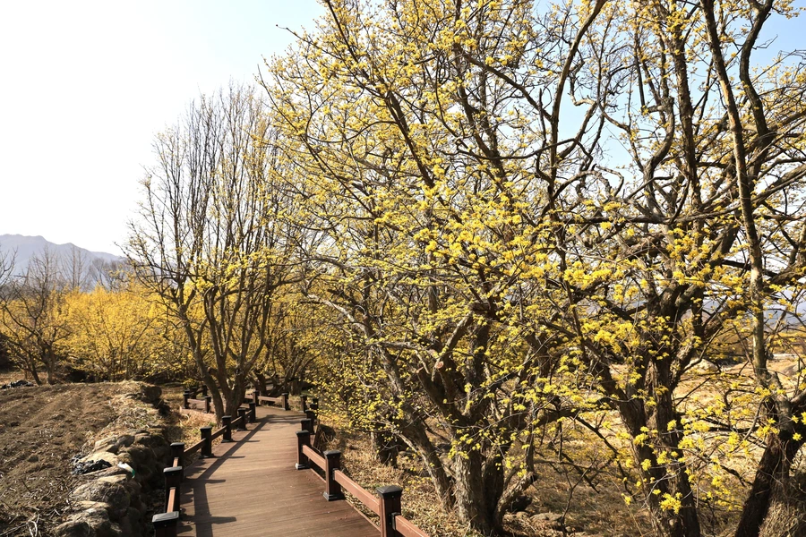 SE-7f4fd4a5-58eb-44b7-86ee-e8fbd76434aa.jpg?type=w1