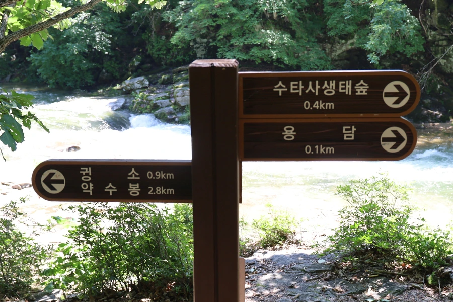 SE-d38db5de-919f-480f-a3c7-2bc0b23385f5.jpg?type=w1