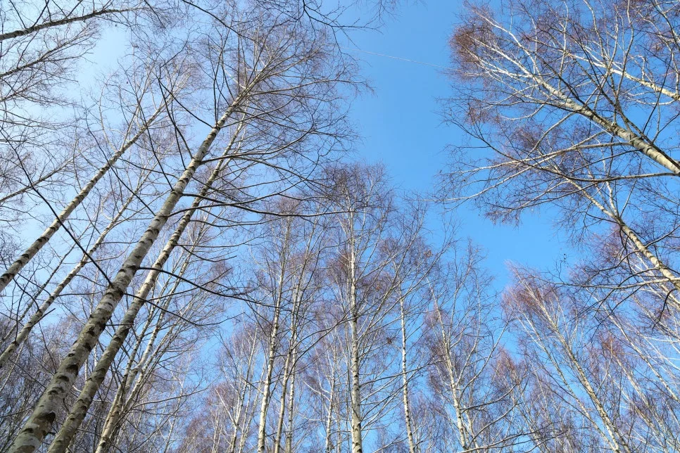 12%EC%9B%9426%EC%9D%BC_(46).JPG?type=w966