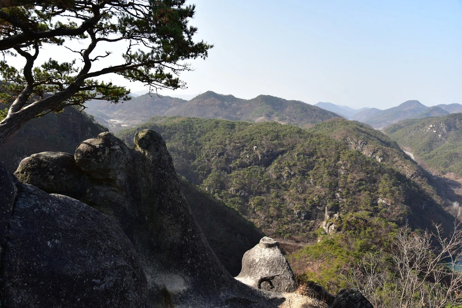 SE-c900e40f-882a-4b34-8447-812514be64ba.jpg?type=w1