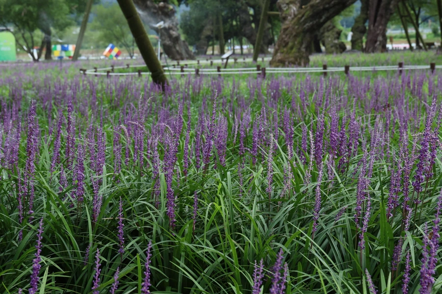 SE-7cbffb90-50c6-497b-a185-60ba56dcfb72.jpg?type=w1